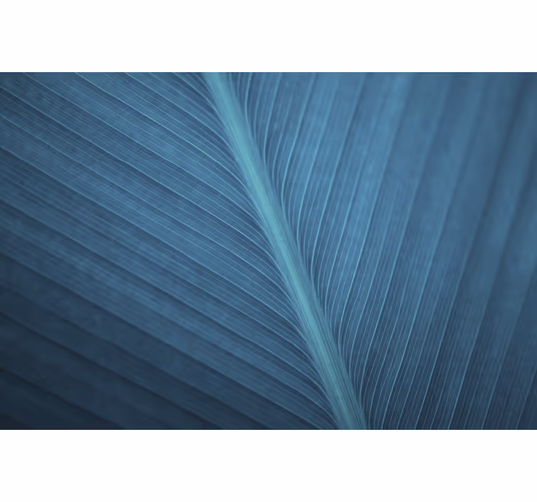 Blue roller blind with large blue-grey leaf - TenStickers