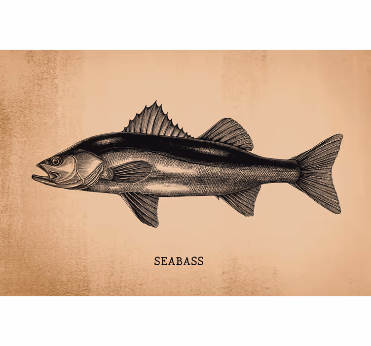 Beige roller blind realistic seabass illustration - TenStickers