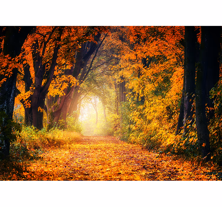 Autumn colorful forest bedroom roller blind - TenStickers
