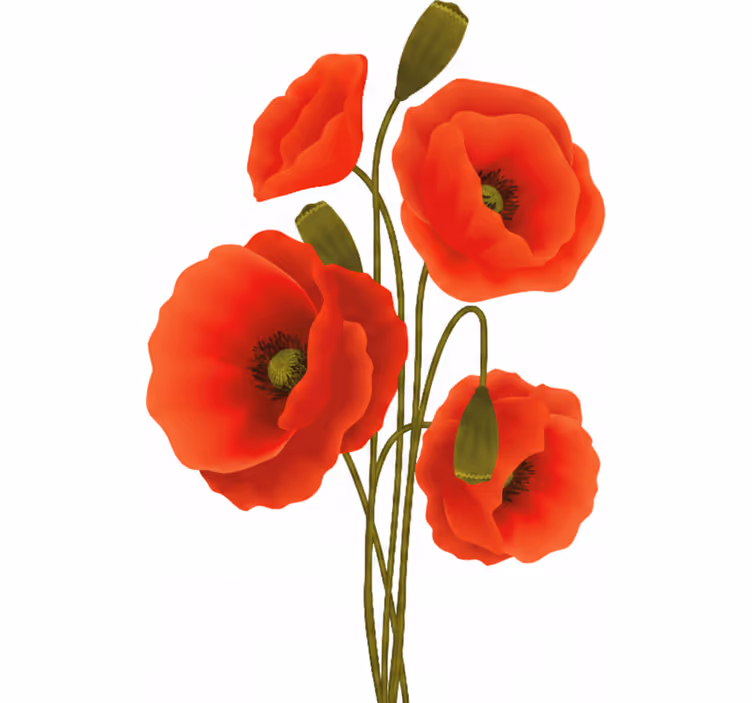 Poppies flower roller blind - TenStickers