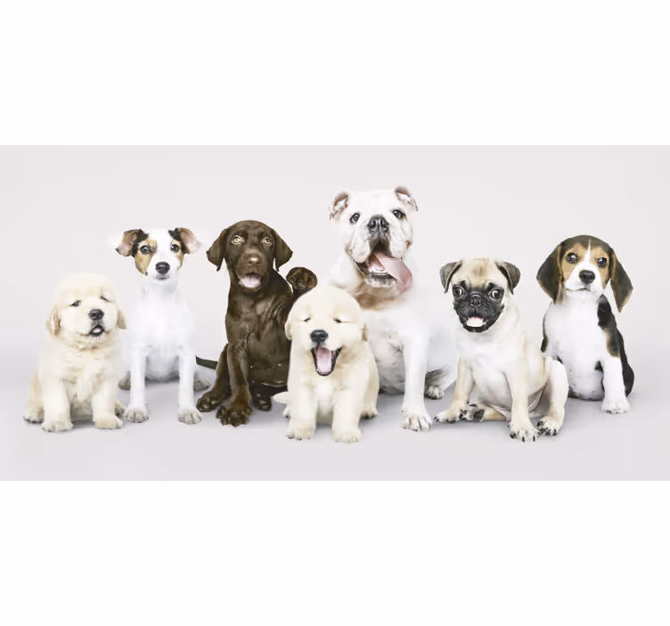 Animal roller blind puppy photography - TenStickers