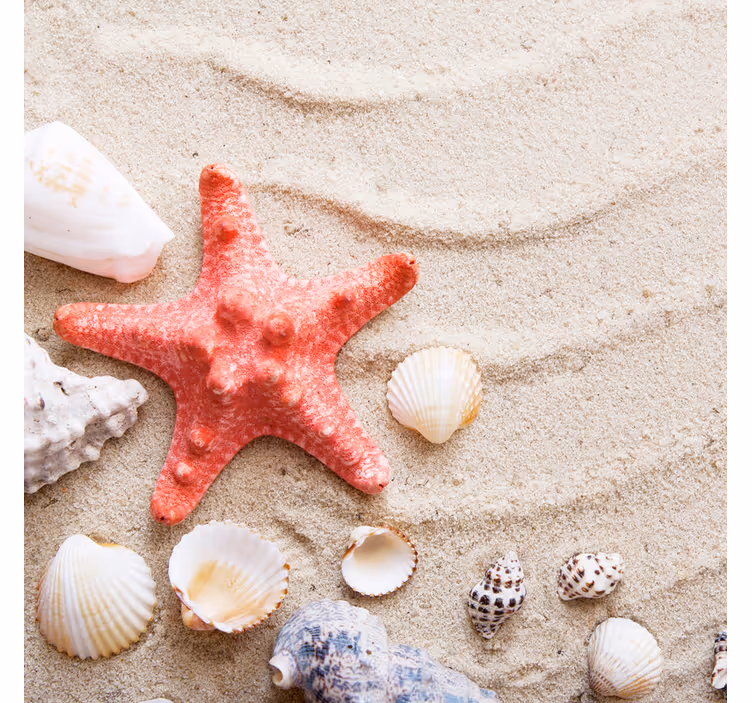 Bathroom roller blind starfish and shells on sand - TenStickers