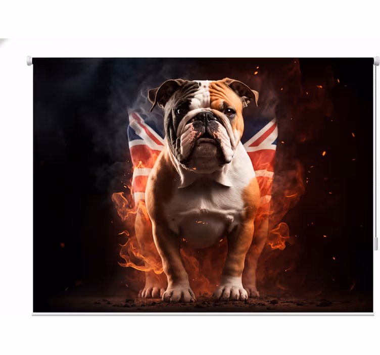 Teenage bedroom roller blind bulldog in flames - TenStickers