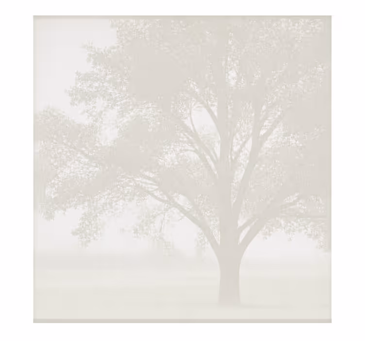 White roller blind screen - TenStickers