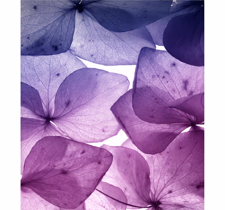Floral serenity purple roller blind - TenStickers