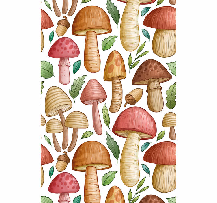 Collection of different mushrooms Kitchen blind - TenStickers