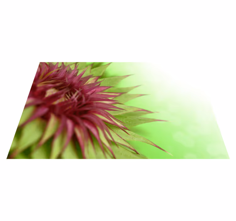 ThistleThistle is a prickly flowering plant in the daisy family.  - TenStickers