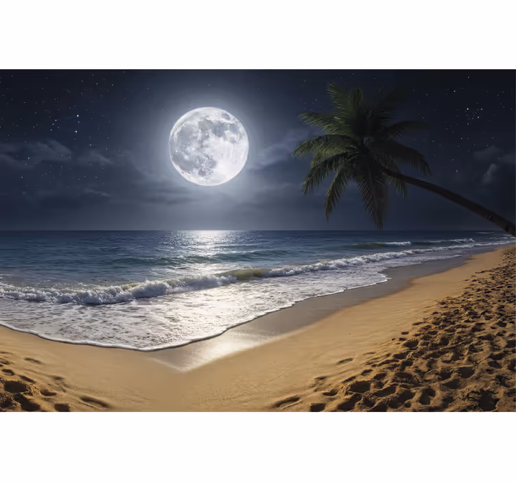 Sea mural full moon ocean view - TenStickers