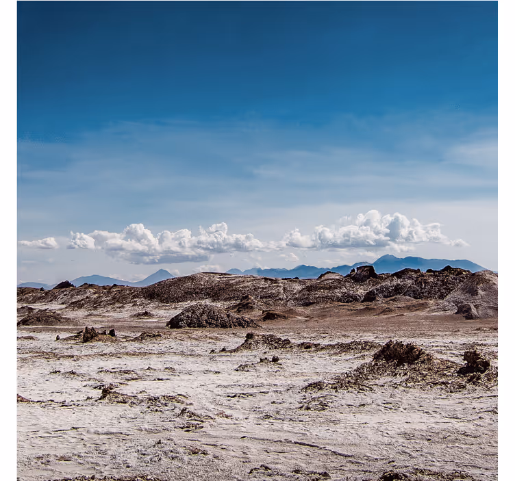 Desert mural in warm desert aesthetic colors - TenStickers