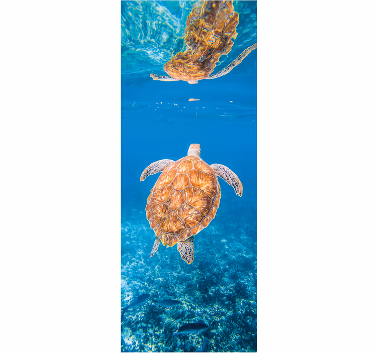 Bathroom mural of a beautiful turtle underwater - TenStickers