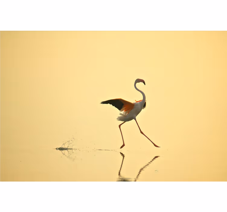 Yellow wall mural with humorous running flamingos - TenStickers