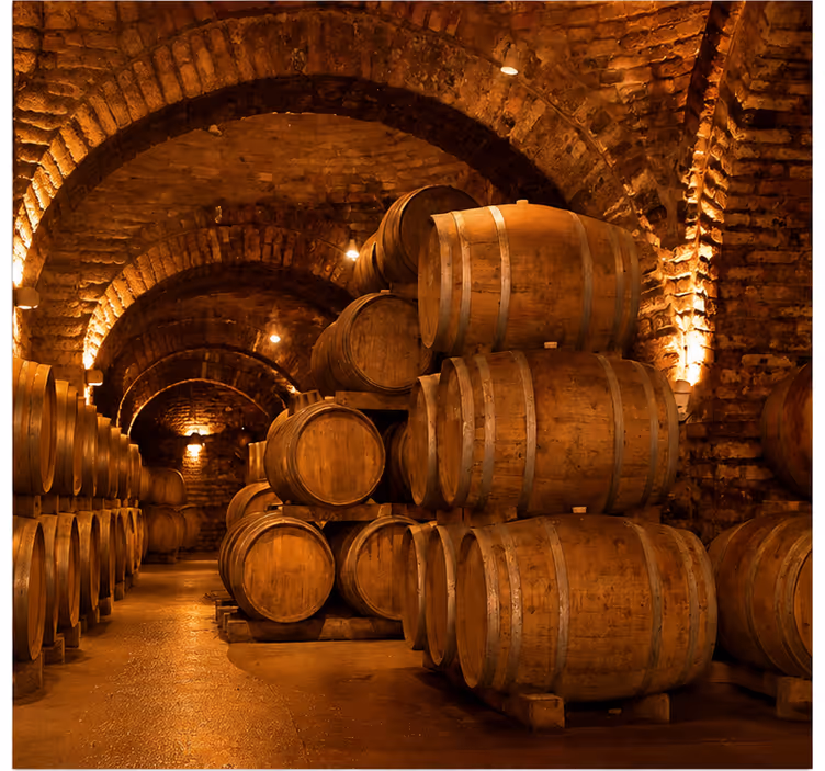 Vintage wall mural wine cellar design - TenStickers