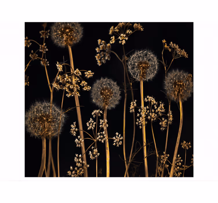 Dandelion mural in nature's embrace - TenStickers