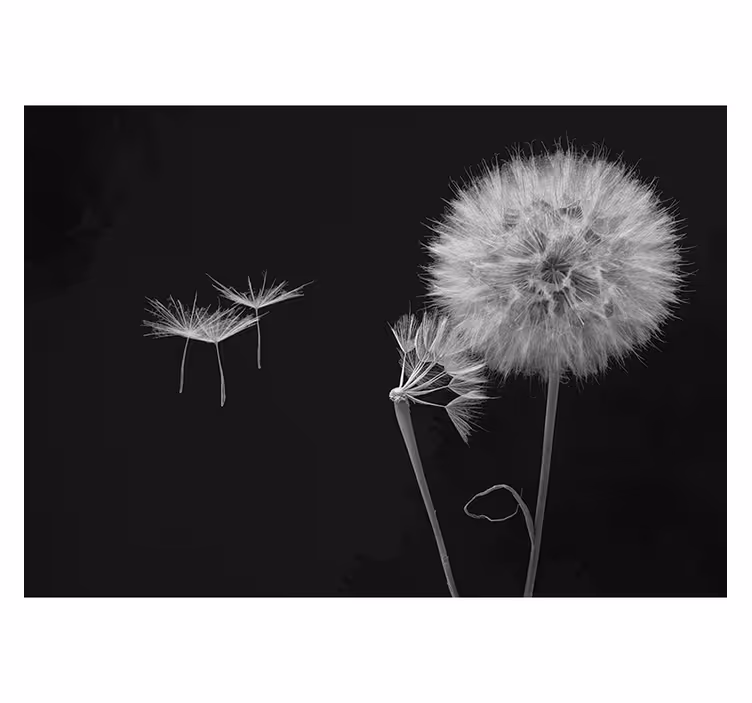Elegant silhouettes dandelion mural - TenStickers