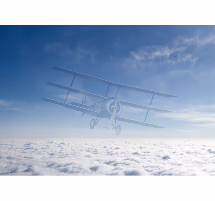 Vintage Airplane Flight vehicle mural - TenStickers