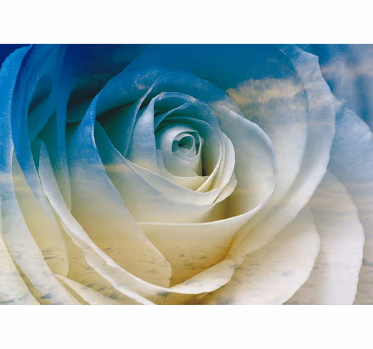 Flower mural rose blossom elegance - TenStickers