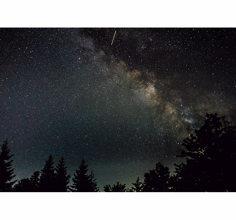 Landscape full of stars Sky Wall Mural - TenStickers