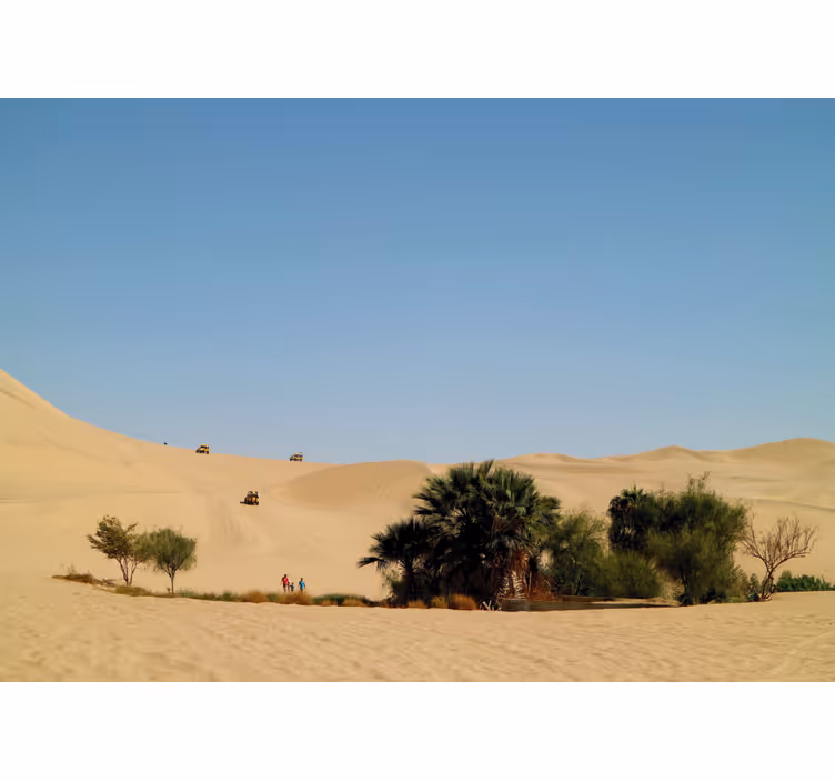 Sandy Dune Oasis desert mural - TenStickers