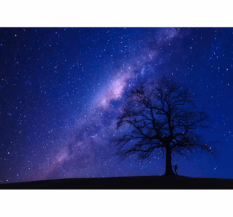 Astral Nightview space mural - TenStickers