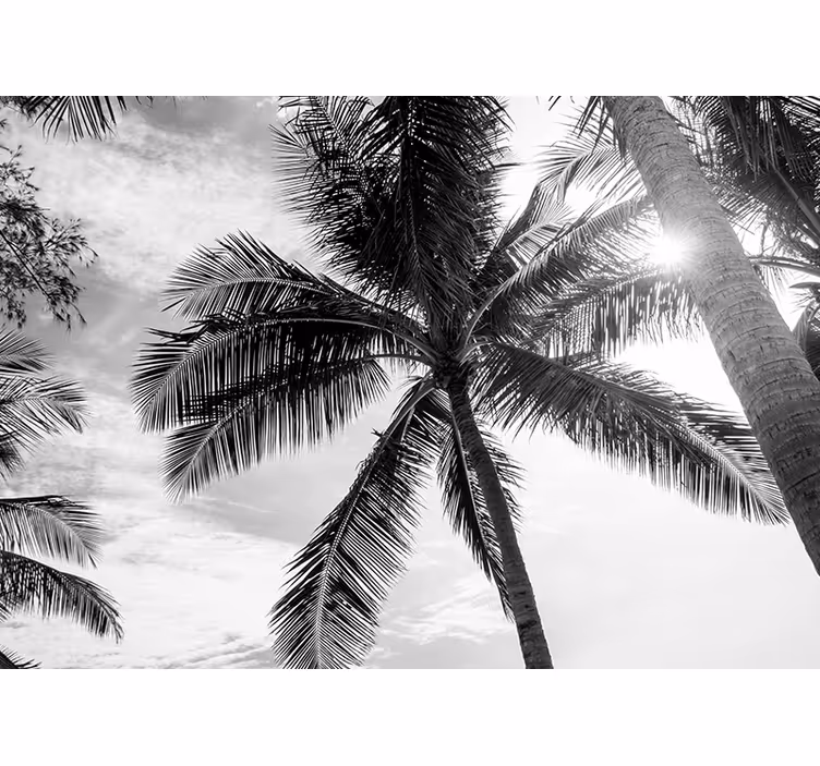 Tropical palm scene sea mural - TenStickers