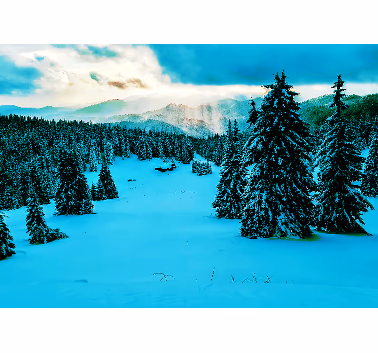 Snowy Pine Forest landscape mural wallpaper - TenStickers