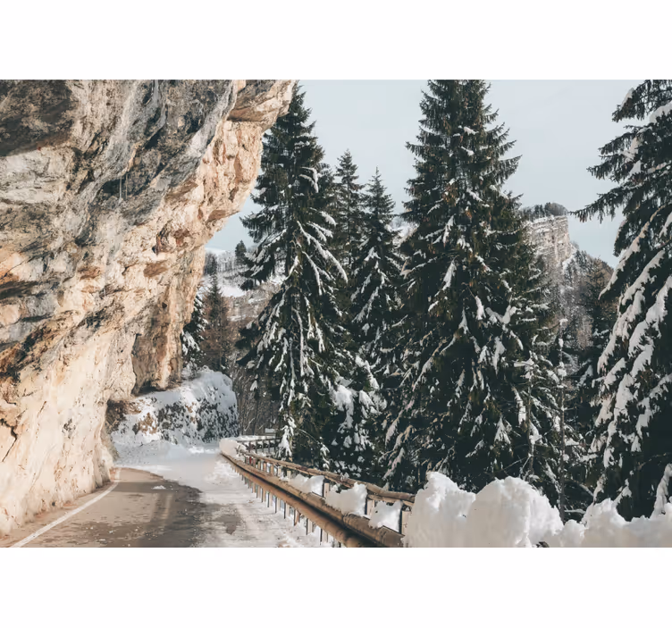 Winter Pine Scenery landscape mural wallpaper - TenStickers