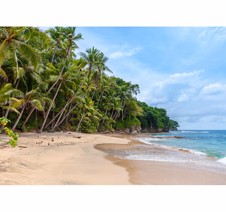 Nature wall mural tropical shore paradise - TenStickers