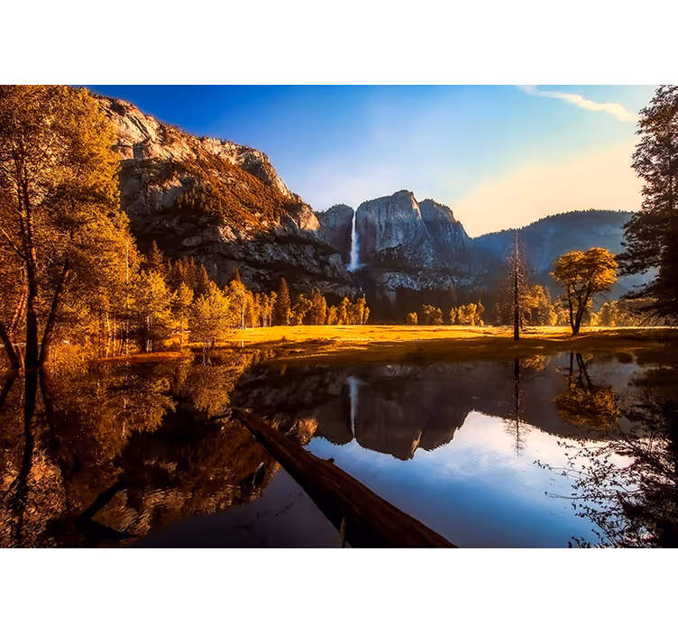 Sunlight reflected on river nature wall mural - TenStickers