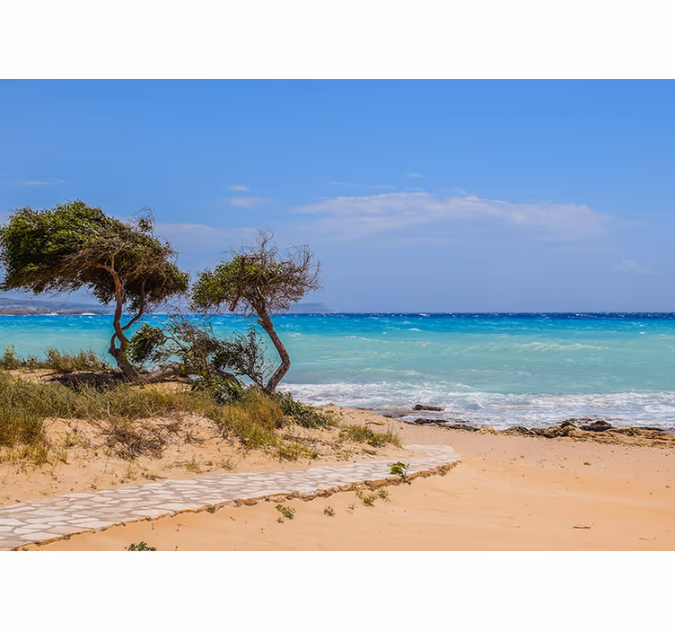 Serene scene path sea mural - TenStickers