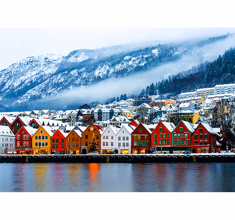 Bergen snowed photo wall mural - TenStickers