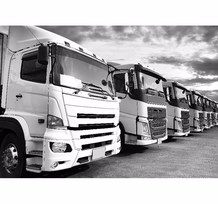 Trucks lined up wall mural - TenStickers