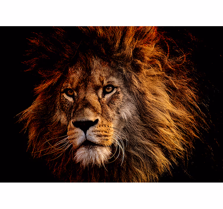 Lion mural majestic lion presence - TenStickers