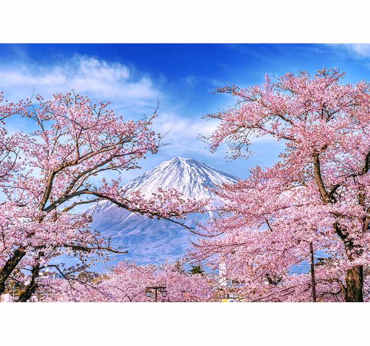 Mountain cherry blossom wall mural - TenStickers