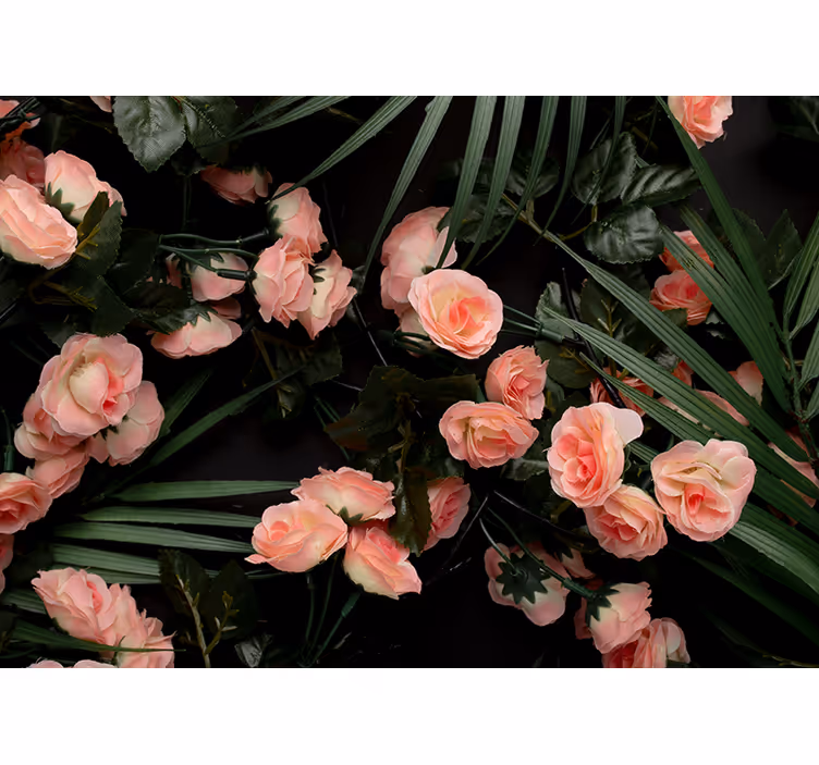 Flower mural soft pink roses design - TenStickers