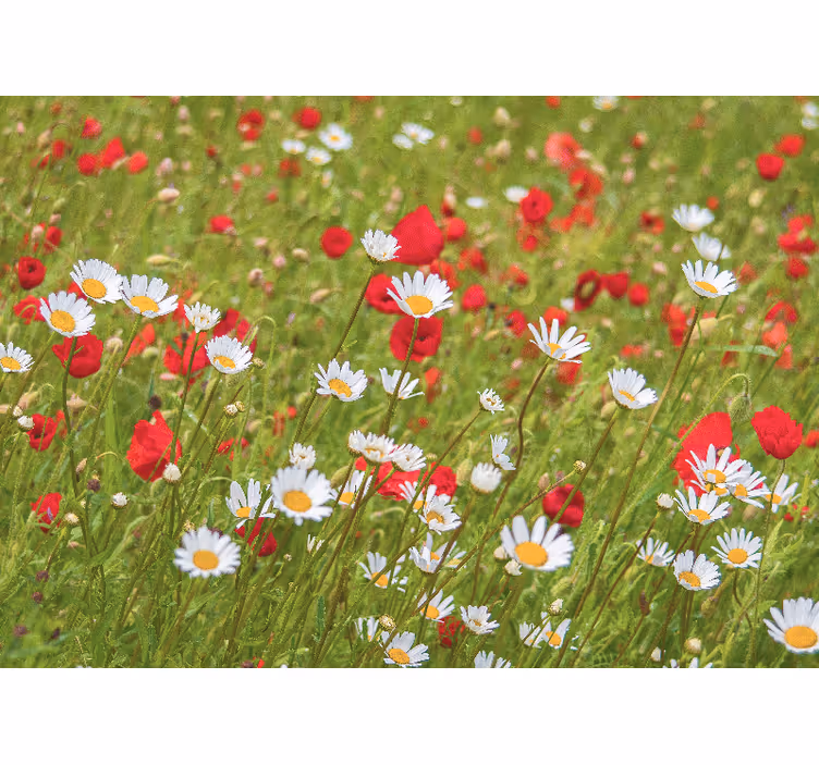 Vibrant flower field flower mural - TenStickers