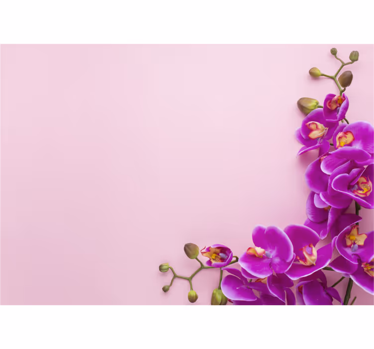 Orchid mural orchid floral display - TenStickers