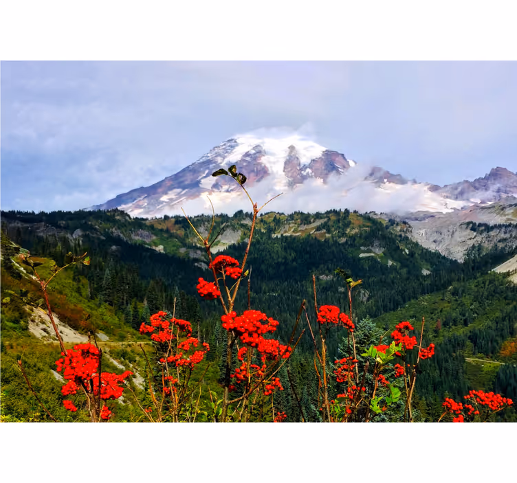 Snow-capped mountain landscape mural wallpaper - TenStickers