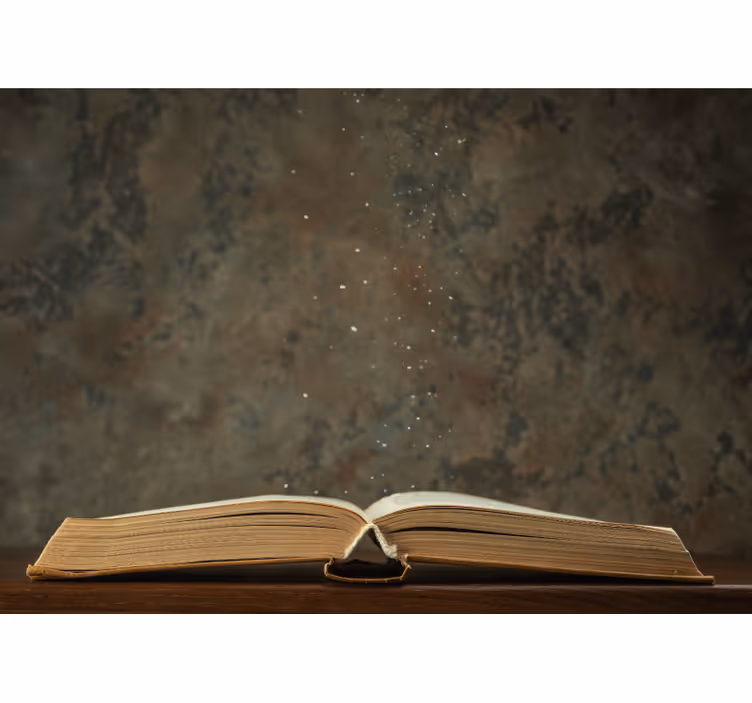 Painting wall mural open book wonder - TenStickers