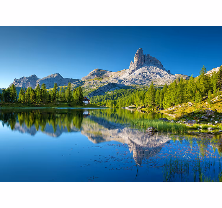 Sunny mountain landscape living room wall mural - TenStickers