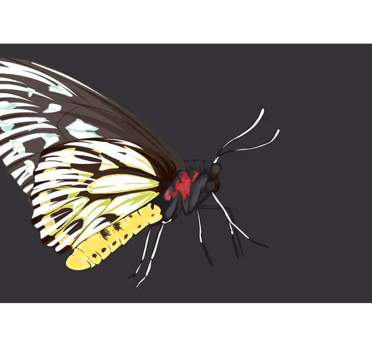 Yellow Butterfly Design flower mural - TenStickers