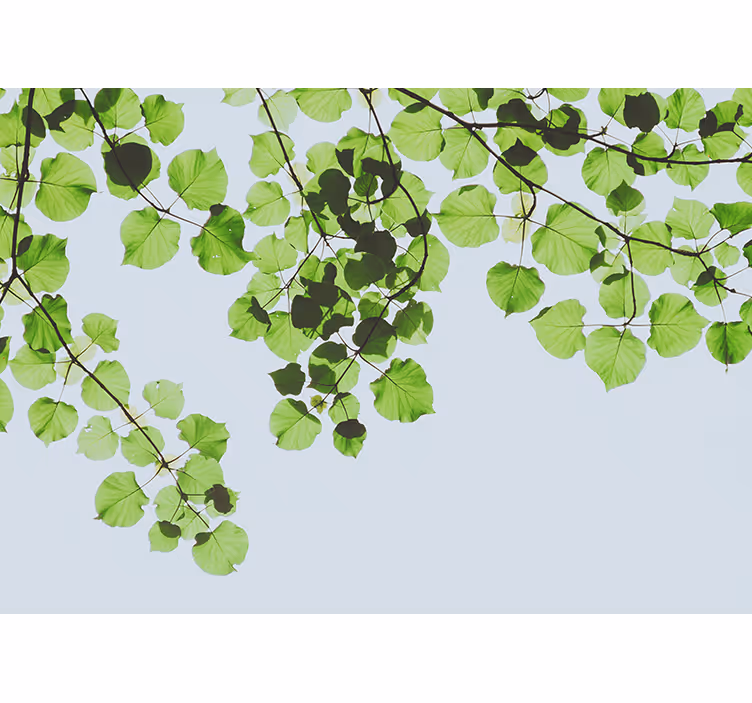 Tree mural leafy branches canopy design - TenStickers