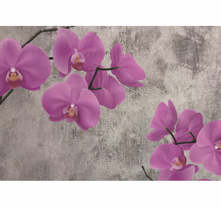 Flower mural rose orchid blooms - TenStickers