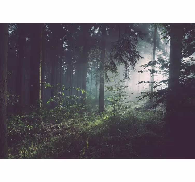 Nature wall mural verdant woodland scene - TenStickers