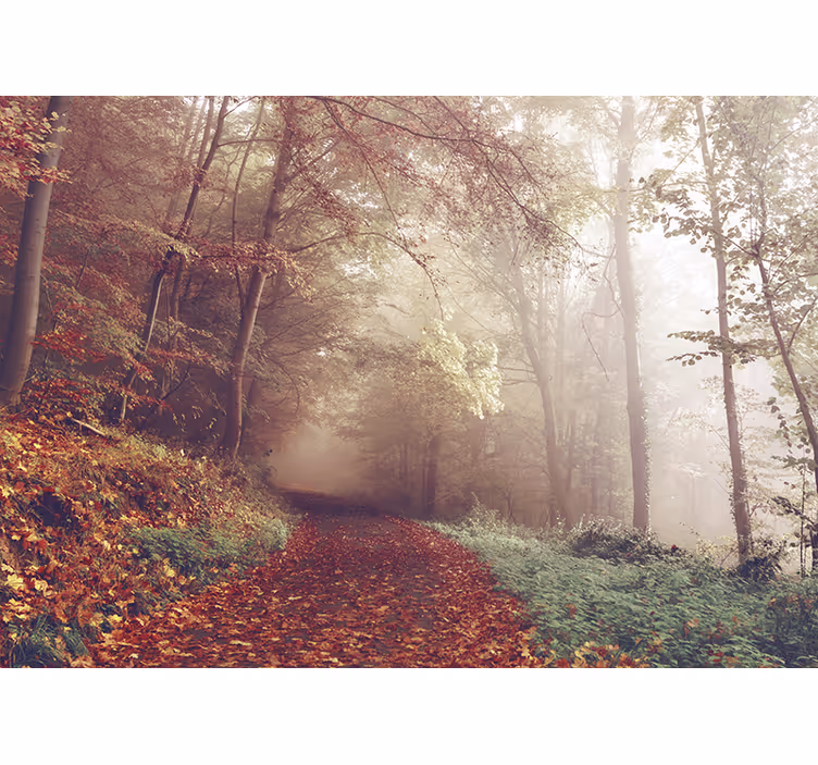 Corridor of autumn trees 3D Wall Mural - TenStickers