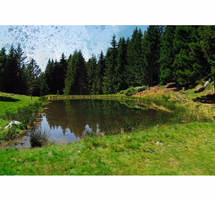 Landscape mural wallpaper tranquil forest view - TenStickers