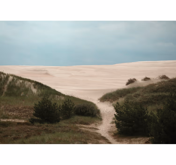 Sandy dune path landscape mural wallpaper - TenStickers