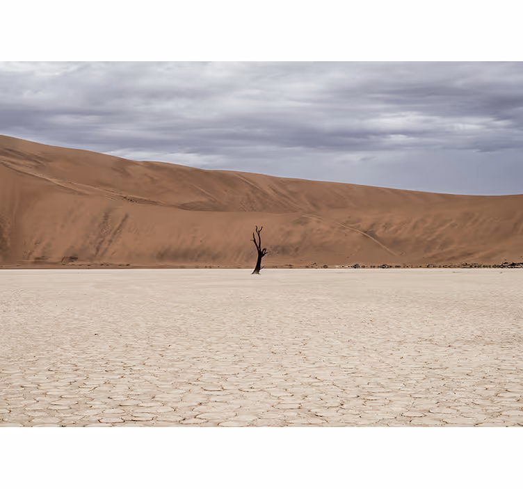 Mountain wall mural desert landscape view - TenStickers