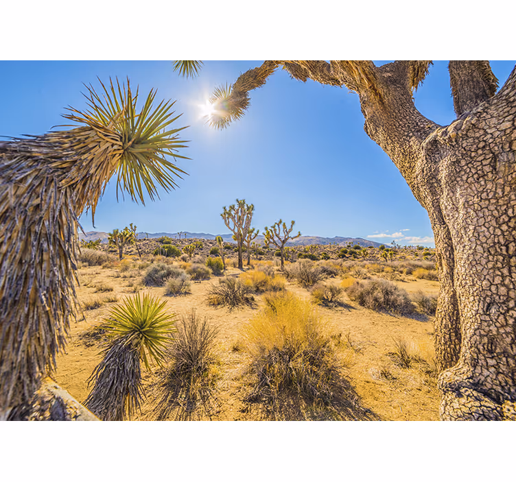 Mountain wall mural desert oasis landscape - TenStickers