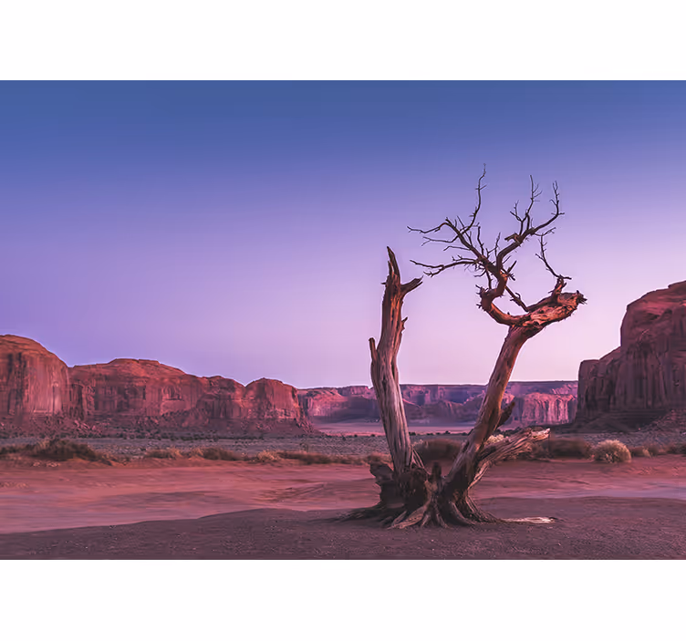 Landscape mural wallpaper desert stone design - TenStickers