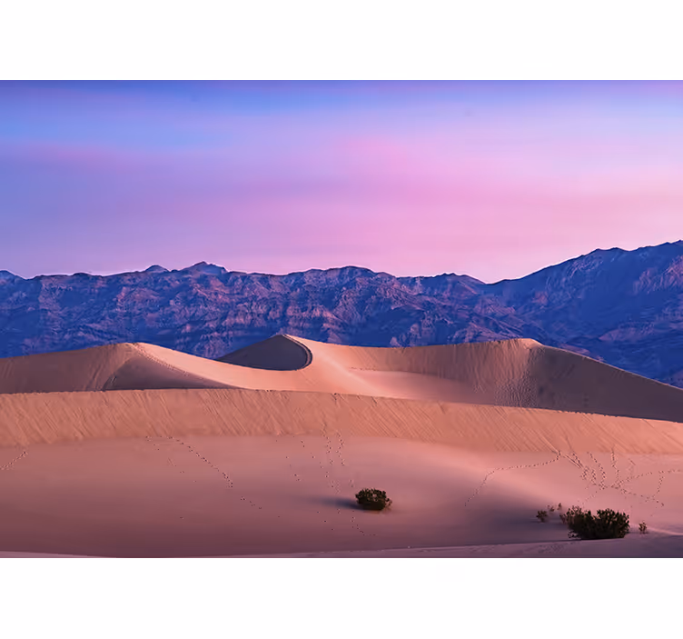 Desert mural golden dunes landscape art - TenStickers